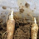 노두농장 이미지