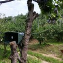 사암농장 이미지