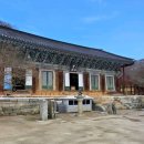 진가세소리 | 동백꽃과 꽃무릇이 더해지는 고창 선운사를 찾아서