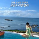 오션트리 | 포항 신상 풀빌라 코랄트리풀빌라106동 솔직후기 🏖 오션뷰 감성까지 다 잡았다!