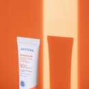 에스트라 카카오 검색결과