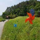 금강올레길 이미지