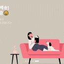101 이미지