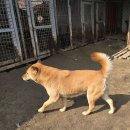 상미 이미지
