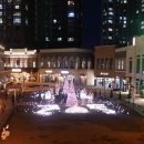 더코지라이프