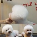 개린이미용실 이미지