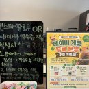 빛가람동 이색 카페 | 도마뱀 체험 분양 카페 나주 게코빈 방문 후기