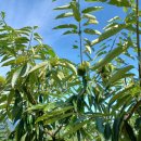 우경한의원 이미지