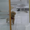 우신타이어 이미지