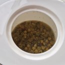 버베나 하우스 | 페어몬트 도쿄 Vue Mer (뷔 메르) 애프터눈티 후기 with 멋진 도쿄베이뷰