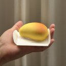 홍조과일 | 대구 최가네 케익 와그작케이크 망고맛, 기대만큼일까? (내돈내산 솔직후기)