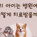 다가온동물병원 네이버블로그