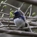 대왕암공원관리사무소 이미지