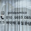골든미코