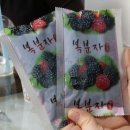 열매이야기 이미지