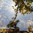 매룬통나무집 이미지