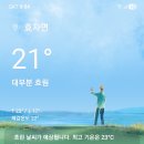 심봤다약초