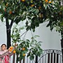 한신경로당 이미지