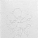 연필스케치와 꽃그림 이미지