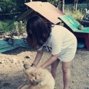 하늘아래 첫동네 꿩밭 이미지