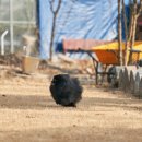 힐링하우스 운일암 이미지