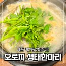 오로지생태한마리 네이버블로그
