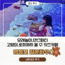 키즈하우스 | 영등포 말론하우스 내돈내산 후기, 키즈카페·모래놀이·고양이까지 있는 곳