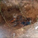 수사진행상황 현장취재 (오마이뉴스 2002.9.29~10.5) 이미지