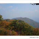 박달재자연휴양림 이미지