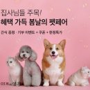봄날펫