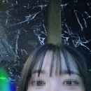 준코-제주 이미지