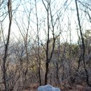 솔밭가든 이미지