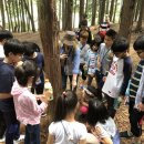 전북대학교 이미지