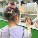 형제토끼농장 | 서울근교 아이와가볼만한곳, 김포곤충농장 완전추천!