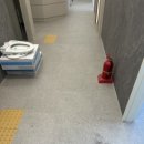 미라크리닝 이미지