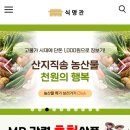 식 천 네이버블로그