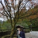 태인 컨트리클럽(연습장) | 소노 펠리체 컨트리클럽 D카드 가입 후 파3 연습장 후기 – 즐겁게 골프 연습