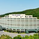 더케이트래블 이미지