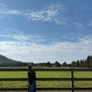 명월성 돌담집 이미지