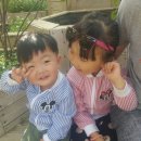 마망엘리펀트 - 안성시 공도로 51-23 | 마망엘리펀트