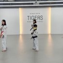 명품타이거즈 이미지