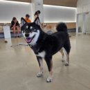 뭉스벨리 이미지