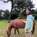 대동목장 | [제주 D+3] 맥모닝런, 도리빨 스노클링, 대한목장 홀스테라피, 노을 헌팅, 회포장 | w.현진언니