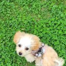 루미살롱 이미지