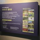 [벚꽃여행] 경기도 광주시 화담숲 2편. 25년4월9일 (화담숲 본격 구경 후기. 모노레일 후기)