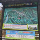 제204회 논고산악회 산행일지(봉화 청량산/2024.11.16) 이미지