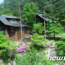 태백고원자연휴양림 이미지