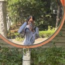 컴포즈커피정선민둥산역점 | [2026] 민둥산등산 (청량리출발/소요시간/인스타핫플/준비물/급경사완등/꿀팁정리)