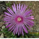 구례농장 이미지