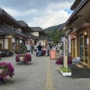 오대산산촌식당 이미지